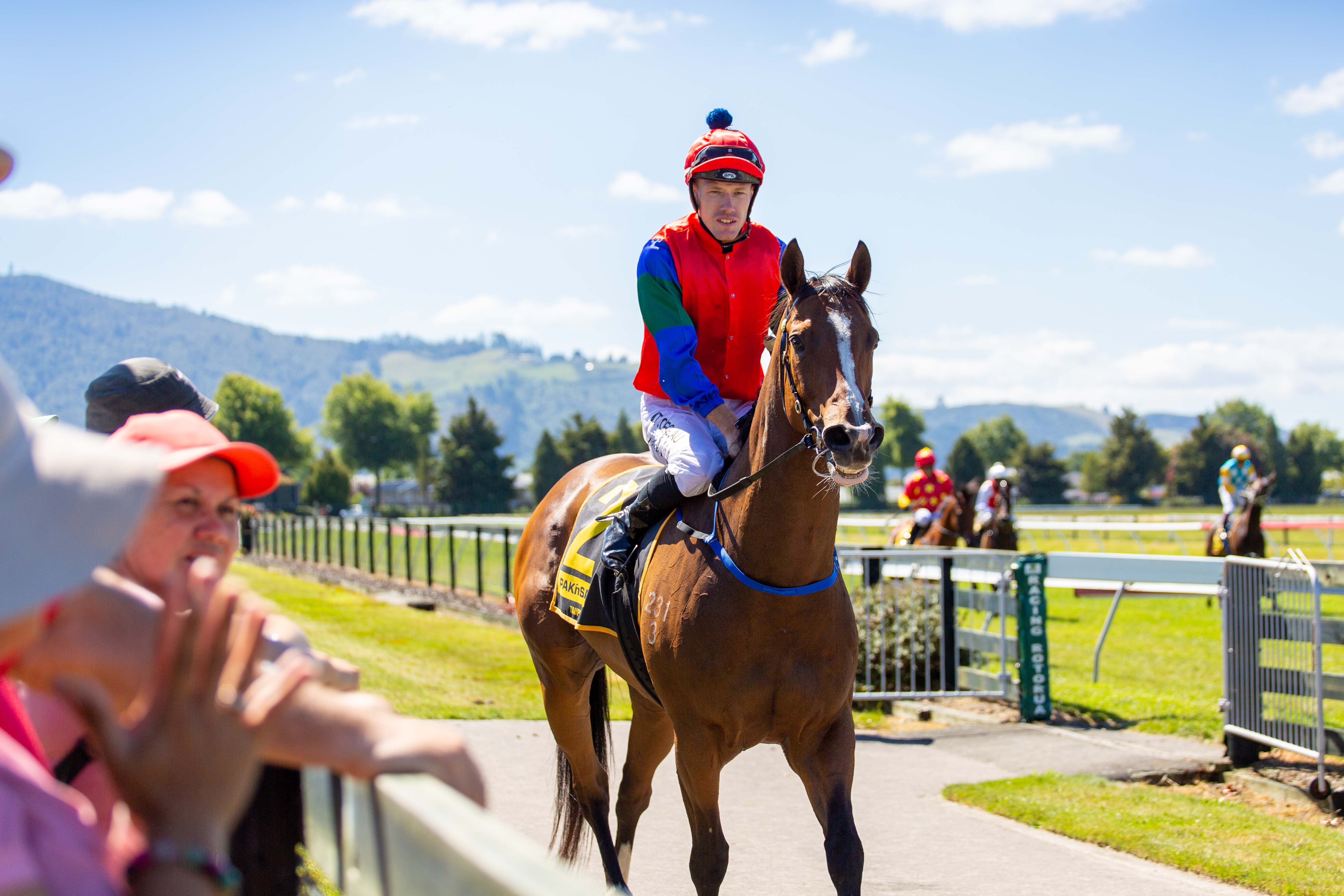 racing, fun, free, sports in rotorua, family fun